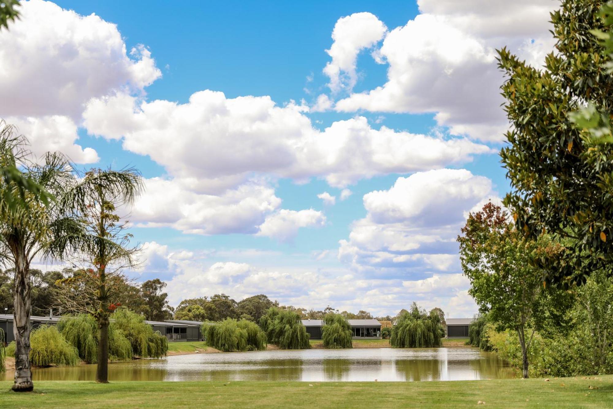 Discovery Parks - Moama Waters Exterior foto